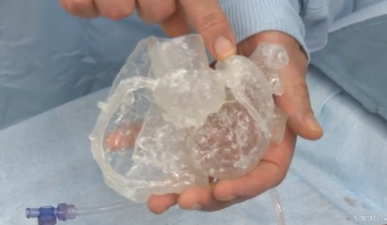 Hands holing a 3D printed heart