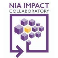 NIA Impact logo