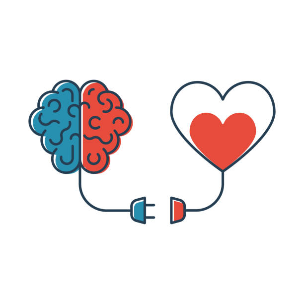 Brain-heart connected stock image. 