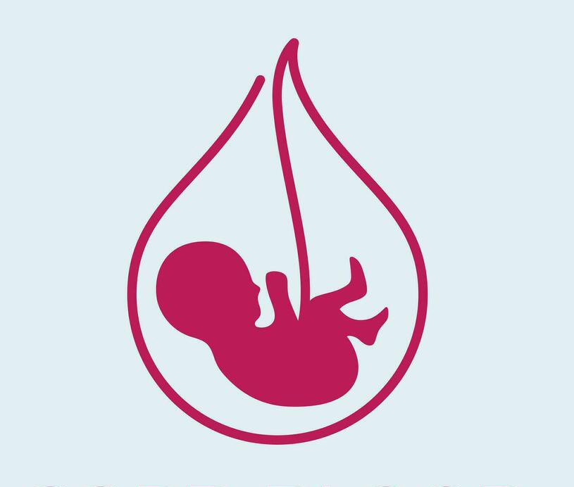 Cord blood vector image