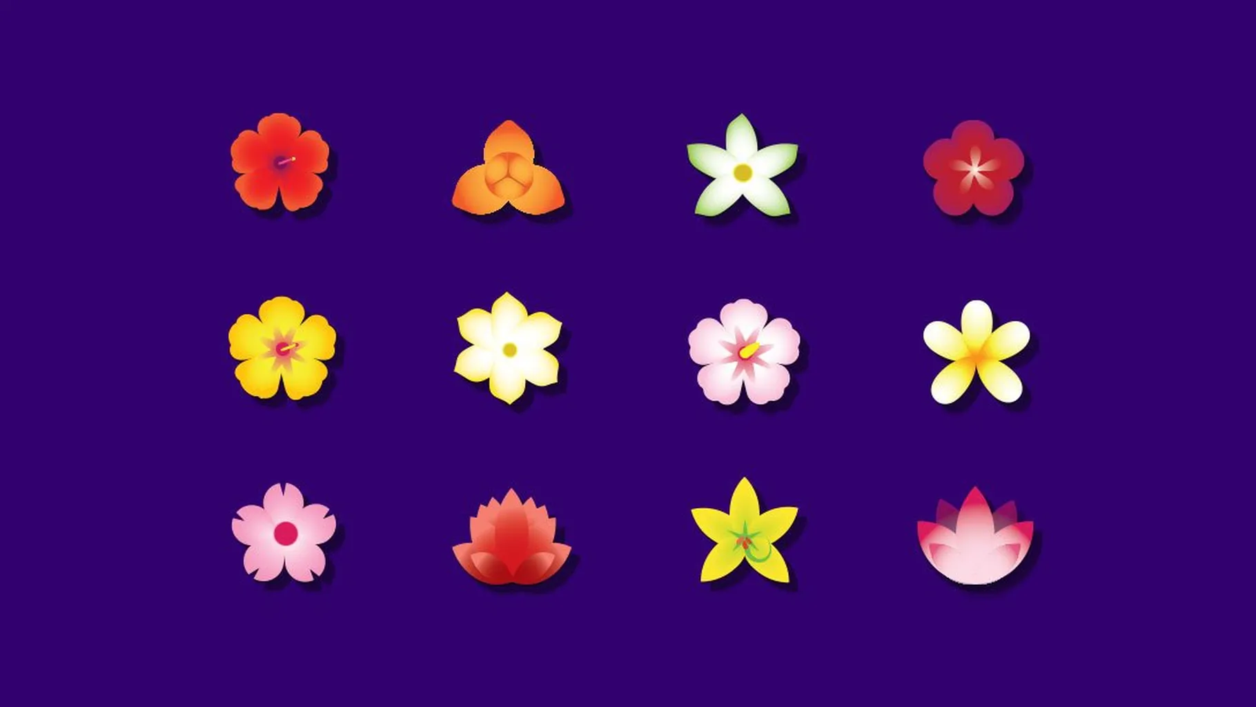 Flowers celebrating the diverse cultures and communities of Asia and the Pacific Islands of Melanesia, Micronesia and Polynesia (which includes Hawaii).