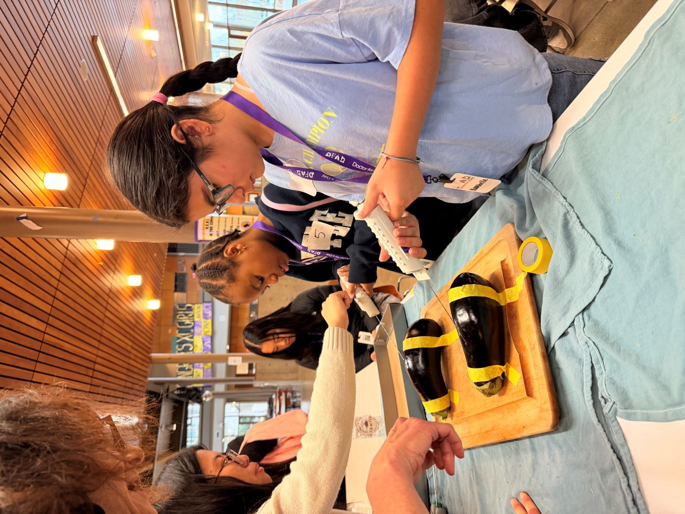 Student practicing biopsy on eggplants