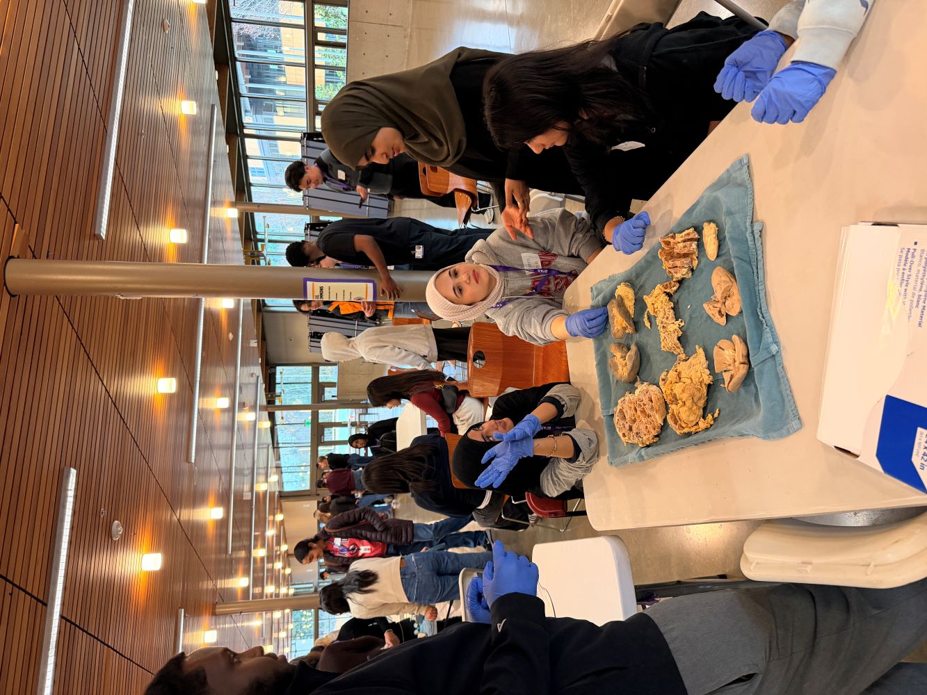 Students practicing biopsies on chicken