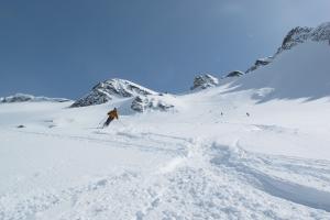 Dr. W. Conrad Liles, Selkirks, British Columbia.