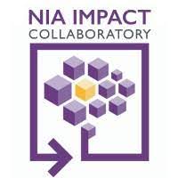 NIA Impact logo