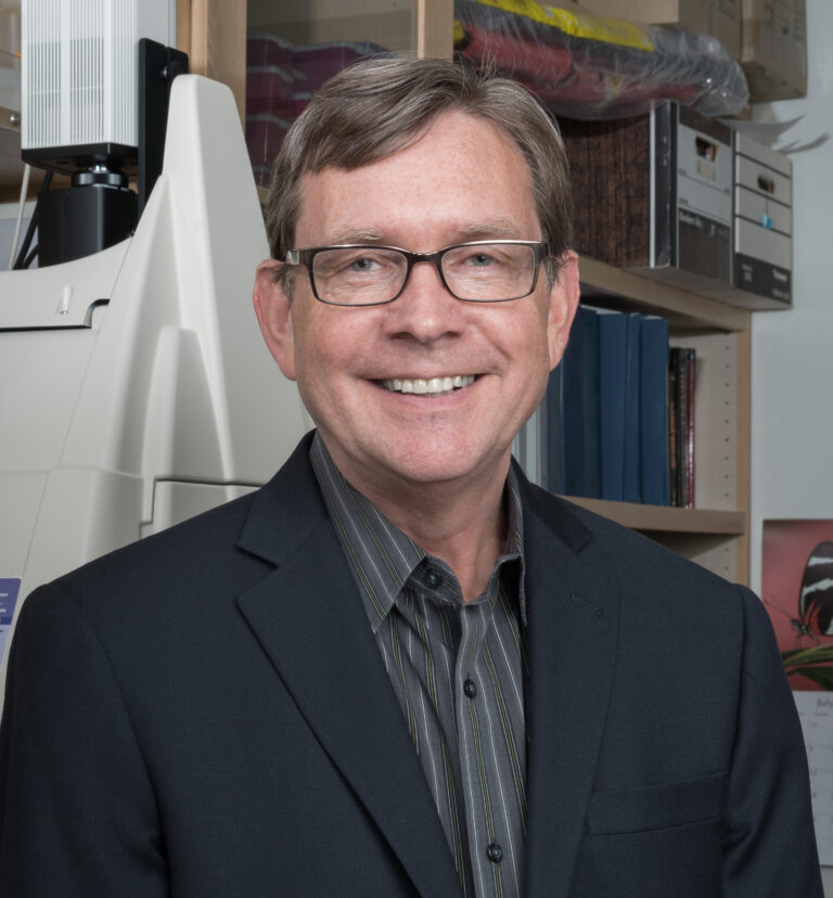 Jeffrey Chamberlain