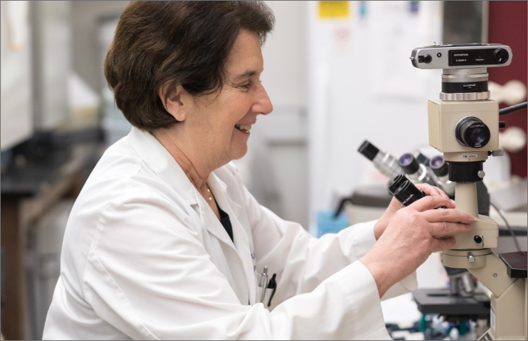 Abkowitz in lab. Image SCCA