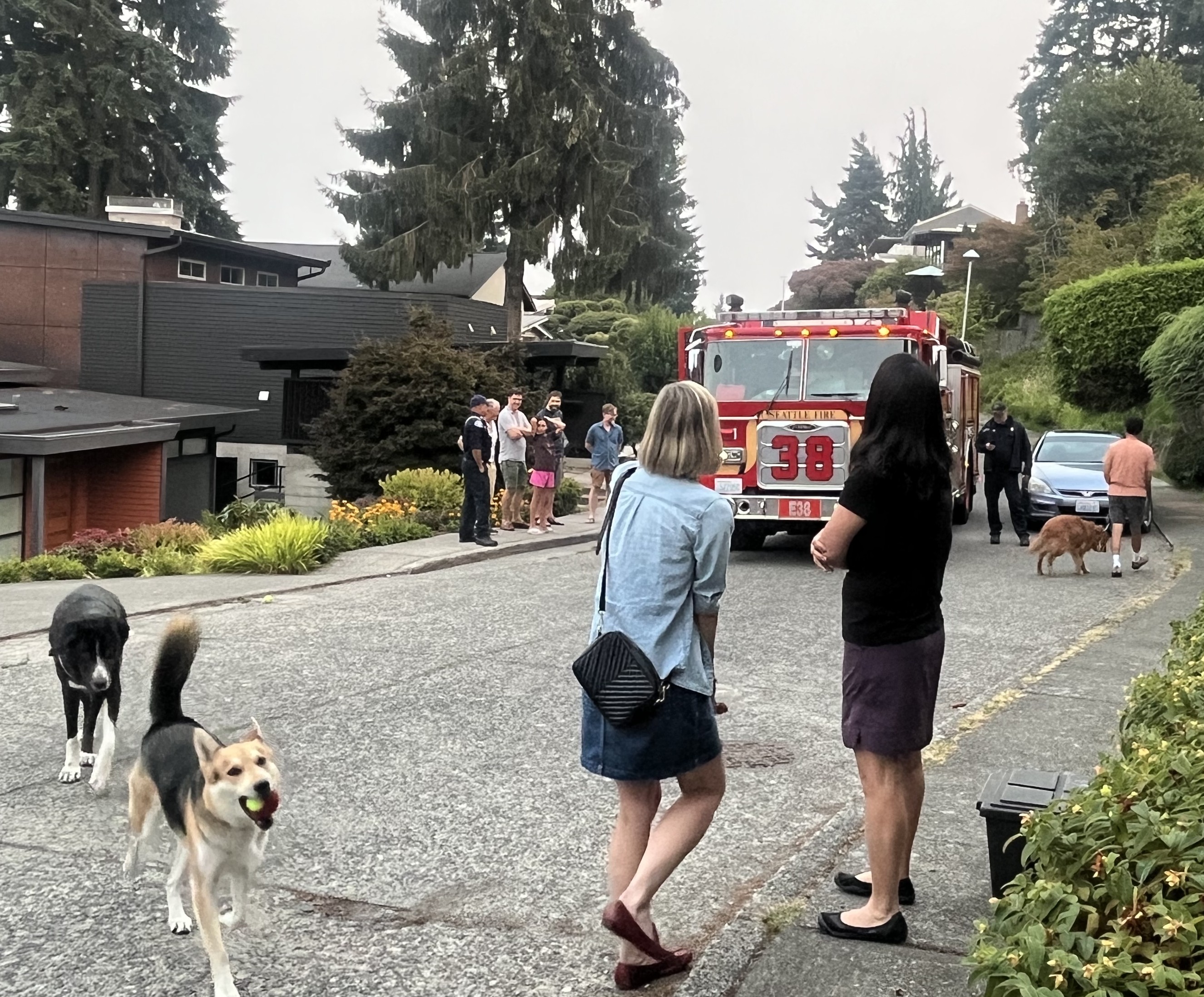 Fire truck in residential neighborhood with dog and people.